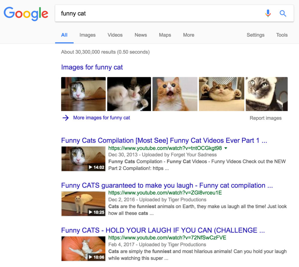 A screenshot of Google search results displaying various funny cat videos, with video thumbnails showing cats in humorous poses and expressions, made using Biteable video maker.