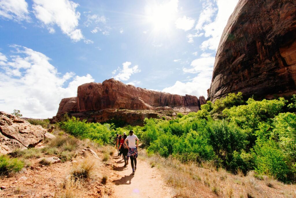Hikers on a sunny trail amidst desert vegetation with towering red rock cliffs in the background.