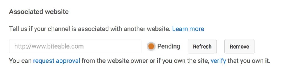 Website association pending approval on a YouTube advanced settings page.