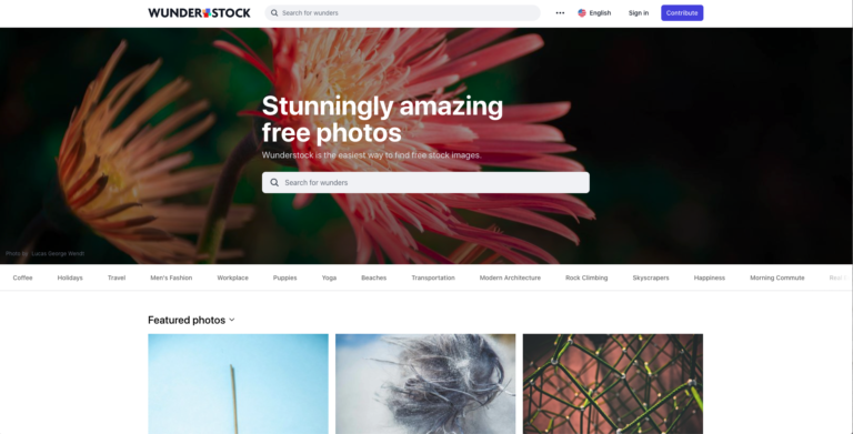 Screenshot of one of the best sites for free images, the Wunderstock website homepage, displaying a search bar with text promoting free stock photos and featured photos below.