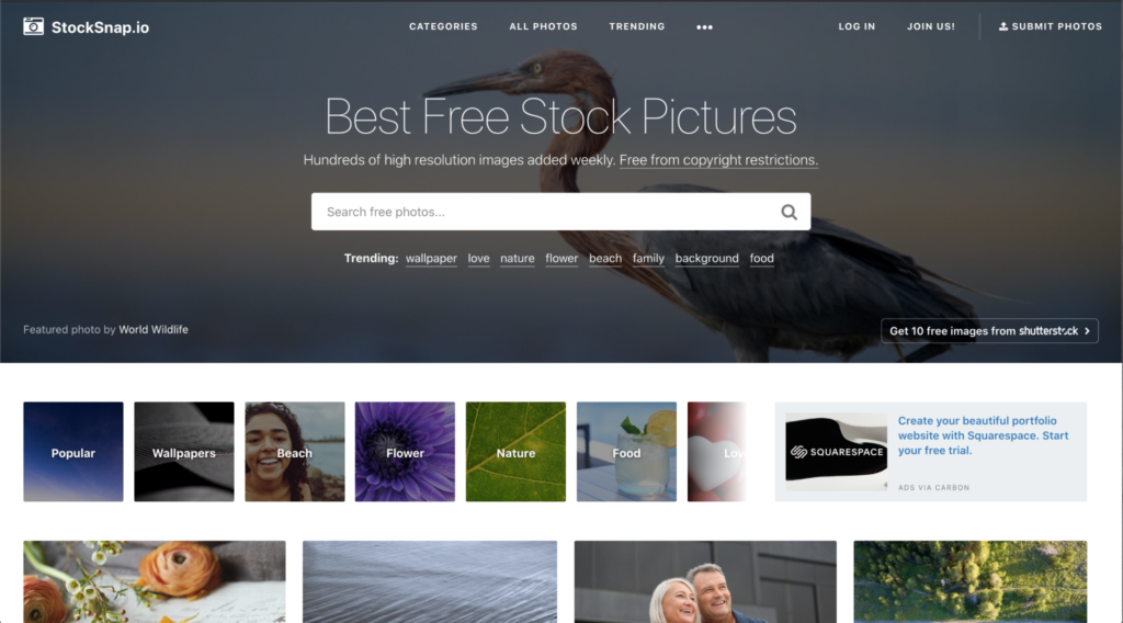 A screenshot of the stocksnap.io website, one of the best sites for free images, showcasing a variety of free stock photo thumbnails and search features with a bird in the foreground.