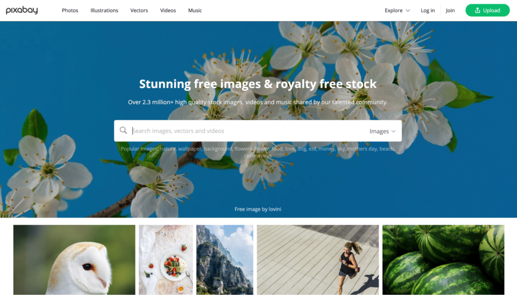 Homepage of Pixabay, one of the best sites for free images, showcasing a search bar for royalty-free images with featured image thumbnails below.