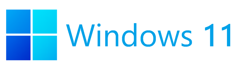Windows 11 logo Biteable video maker.