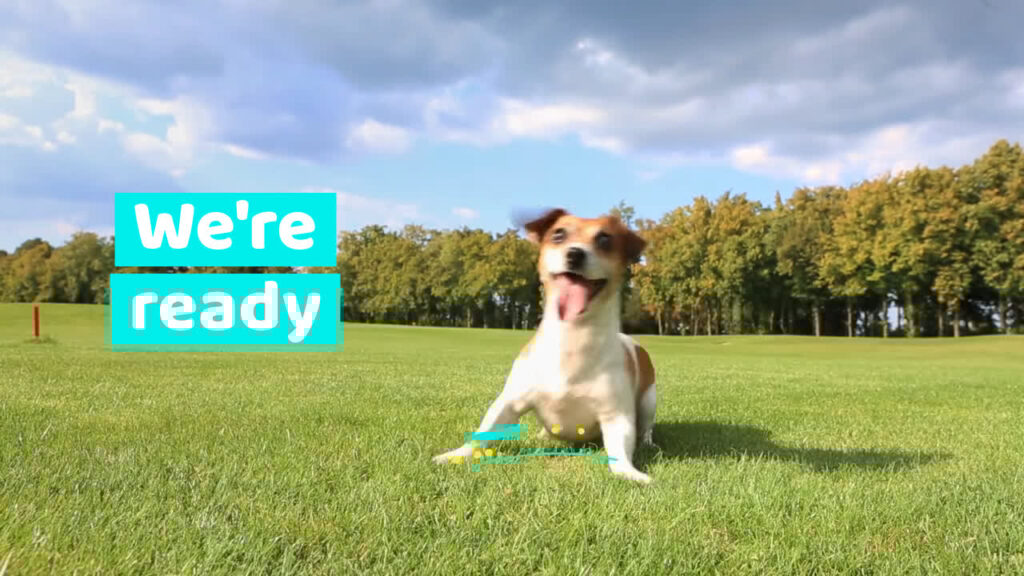 A joyful dog in a park with the text "we're ready" displayed, created using Biteable video maker.