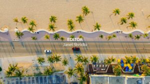 Aerial view of a coastal road with palm trees and vehicles, perfect for creating content with Biteable video maker.