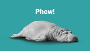A black and white image of a hippopotamus lying on its side, with the word "phew!" displayed above it on a turquoise background, created using Biteable video maker.