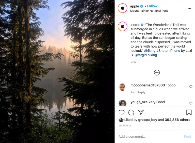Foggy forest landscape at Mount Rainier National Park with a serene lake view and towering evergreen trees silhouetted in mist, perfect for capturing with Biteable video maker.