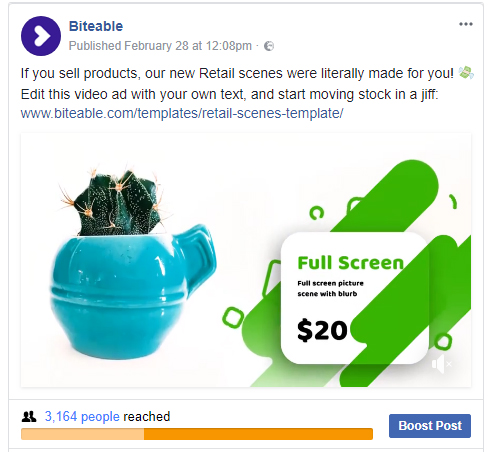 Social media advertisement featuring a cactus in a blue teapot, with graphic overlays promoting a retail template video at $20, and a link to Biteable video maker's website.