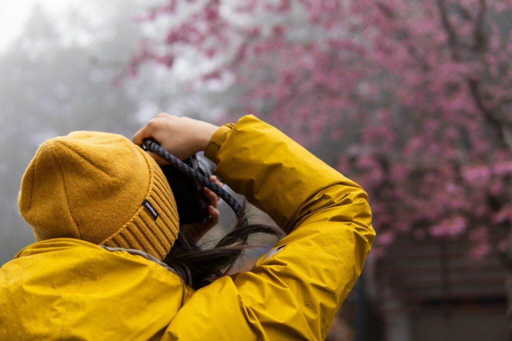 A person in a yellow jacket and hat taking a photo of pink flowers on a misty day, drawing color inspiration from the vibrant surroundings.