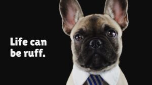A French Bulldog wearing a white collar and striped tie with the text "Life can be ruff." on a black background.