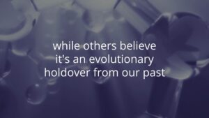 Text on a blurred blue background with abstract spherical shapes reads: "while others believe it's an evolutionary holdover from our past.